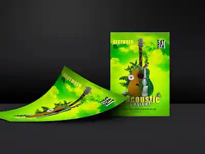 I can design a brochure and poster design