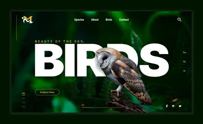 I can design a stunning responsive website hero section in figma