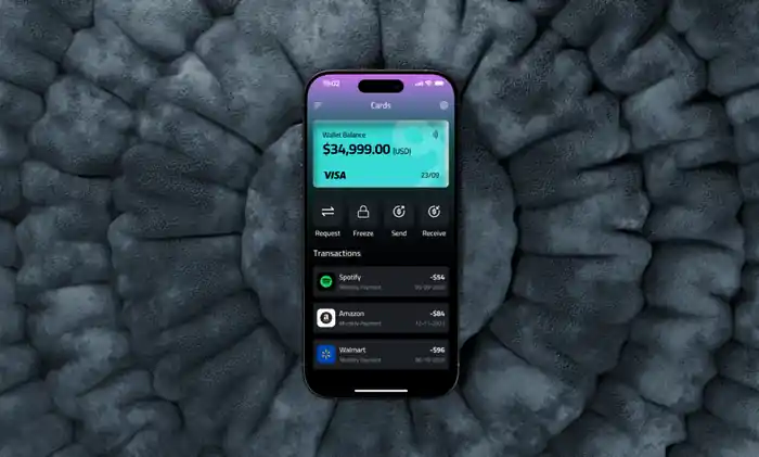 I can design a premium banking, crypto, or finance app UI