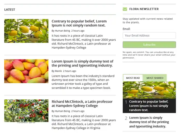 I can design and develop a website with modern technologies