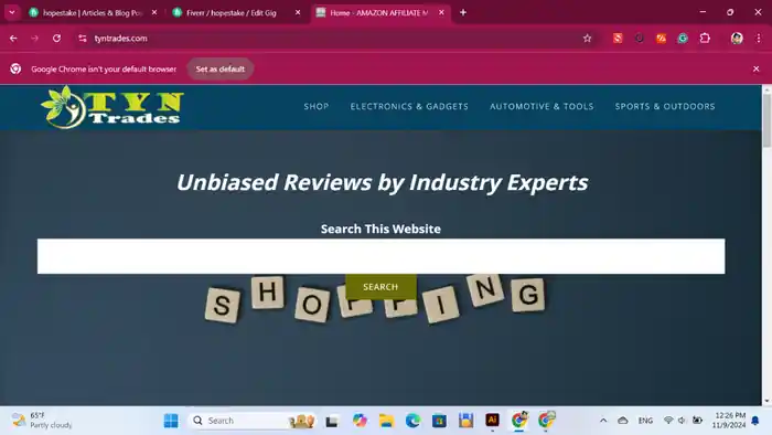 I can design ecommerce and Amazon affiliate marketing website for you