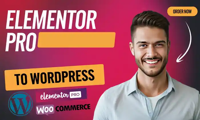 I can design ,redesign, duplicate, any wordpress websites using elementor