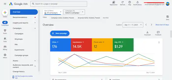 I can setup and manage your google shopping ads for ecommerce Business