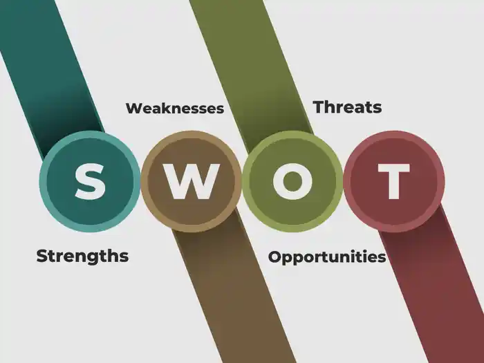 I can write SWOT, PESTLE, 5 forces Analysis