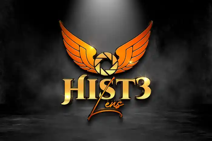 I can create Logo, Business Card & Flyers