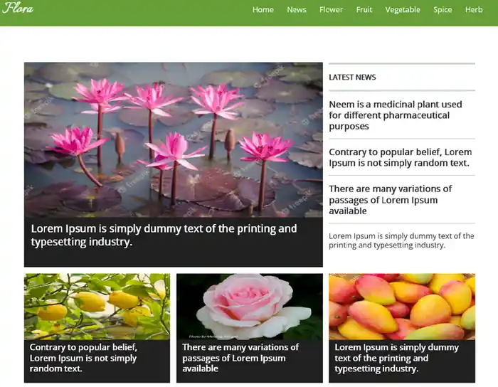 I can design and develop a website with modern technologies