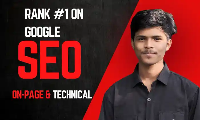 I can do on-page and technical SEO optimization with an audit