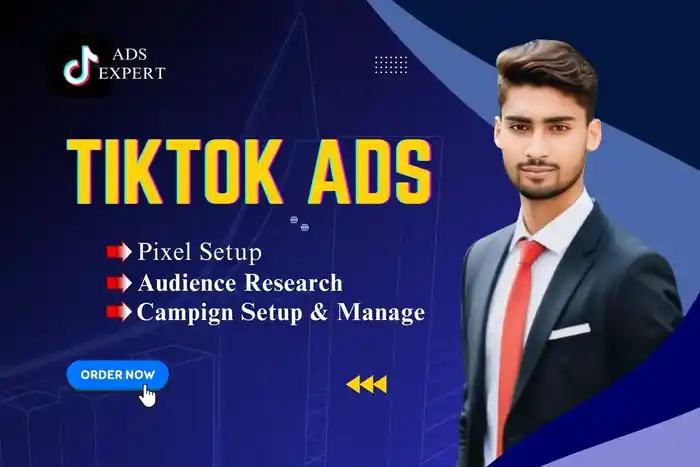I can setup and manage tiktok ads campaign, tiktok marketing