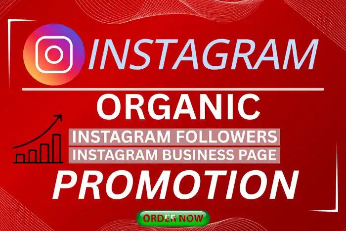 I can ✅ I will do 100% Organic Instagram Promotion and Grow Real Followers