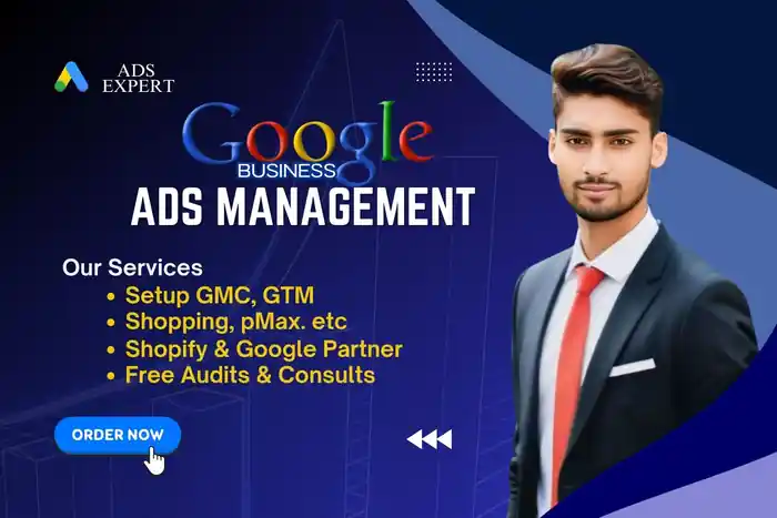 I can run google PPC, pMax, shopping ads campaign for Shopify dropshipping