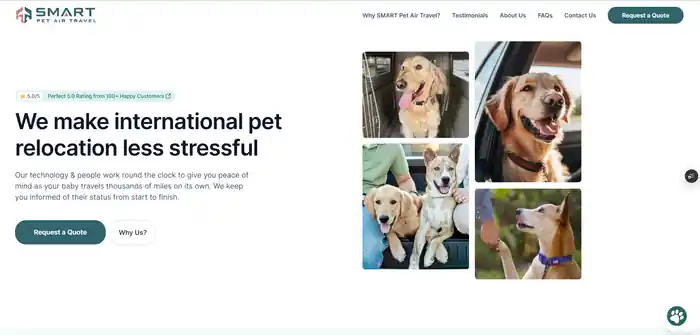 I can Experienced React | Node | NextJs Developer