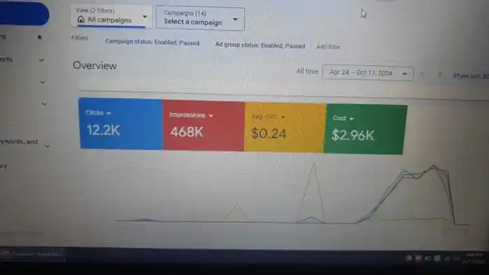 I can do Google ad campaigns setup management and optimization