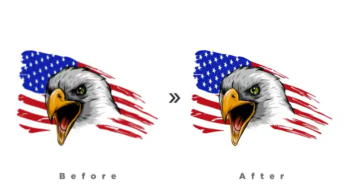 I can convert or redraw your low resolution image or logo into vector files