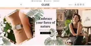 I can Develop your Website for own Brand | Drop shipping | Restaurant | etc.