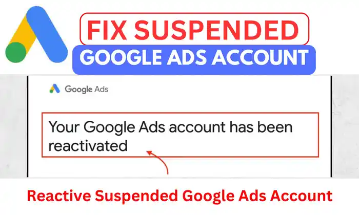 I can fix gmc suspension and restore google merchant account