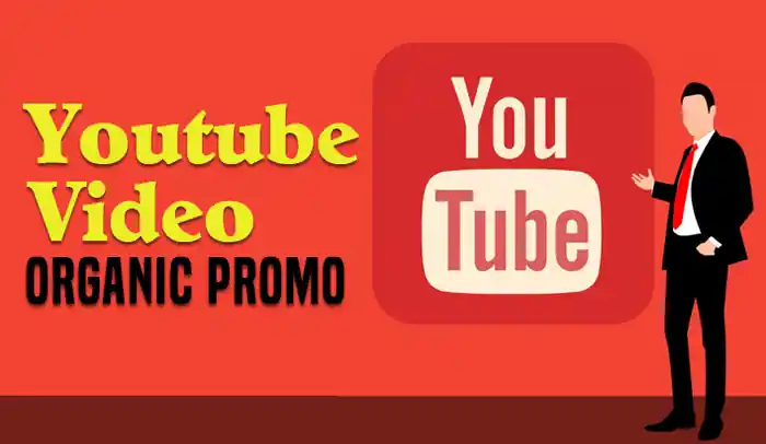 I can do organic youtube video promotion & channel marketing