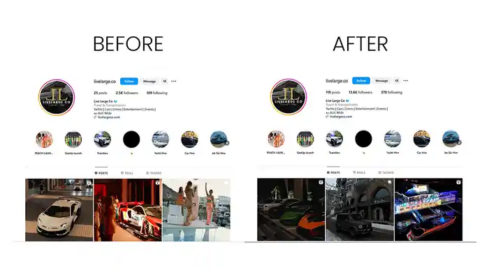 I can do Instagram promotion for organic growth as an Instagram manager