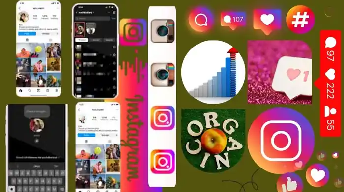 I can your instagarm organic growth