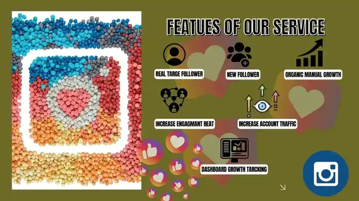 I can your instagarm organic growth