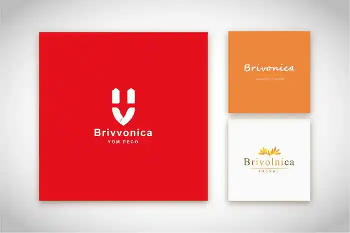I can Graphic designer | Logo design | Branding Expert.