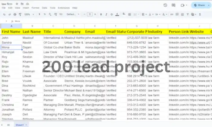 I can generate high quality business leads, roofing leads, solar leads