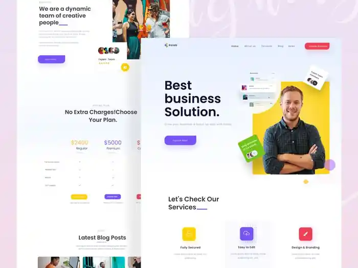 I can build custom website , redesign and develop the website