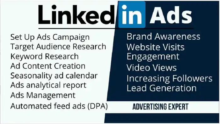 I can setup and optimize your linkedin ads campaign and insight tag with GTM