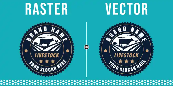 I can vectorize image, logo, document
