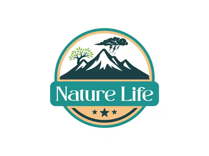 I can Master Professional Logo Design & Branding Skills