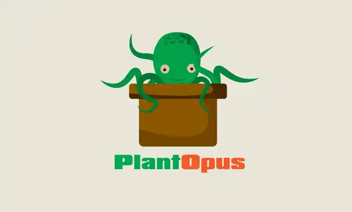 I can Professional Minimalist Logo Design