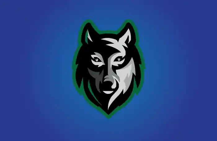 I can design attractive mascot cartoon logo