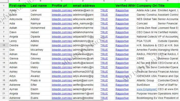 I can provide b2b lead generation, linkedin lead and email list building