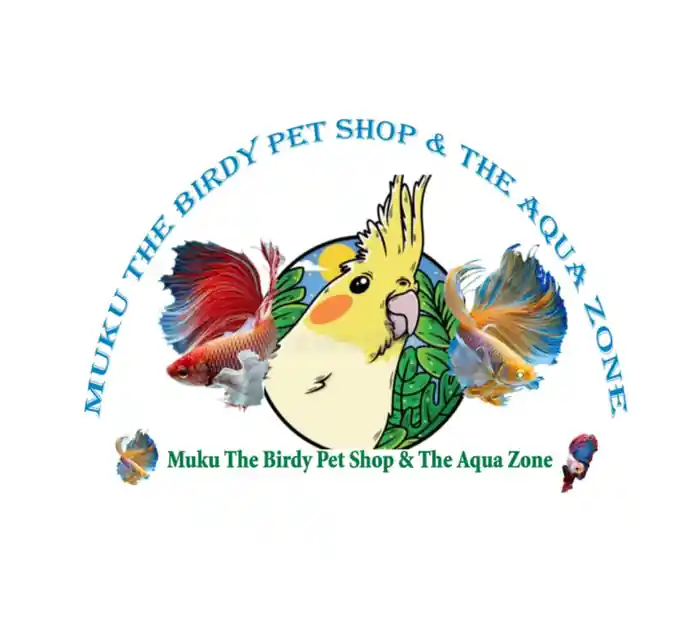 I can design logos and you tube thumbnails and many more