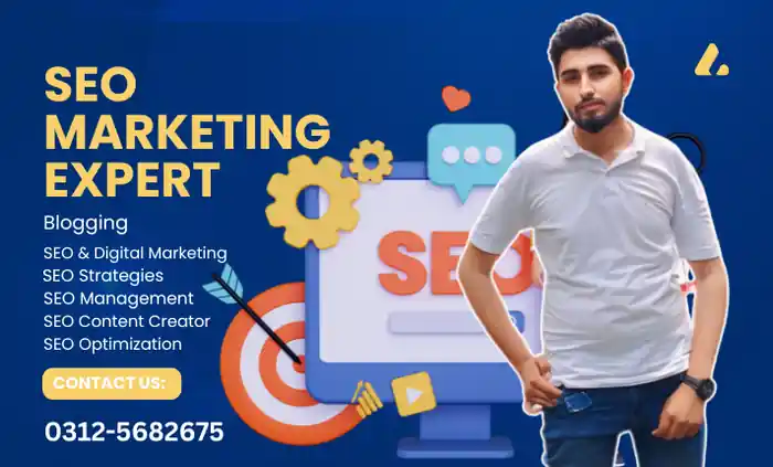 I can do expert website SEO services for organic traffic growth