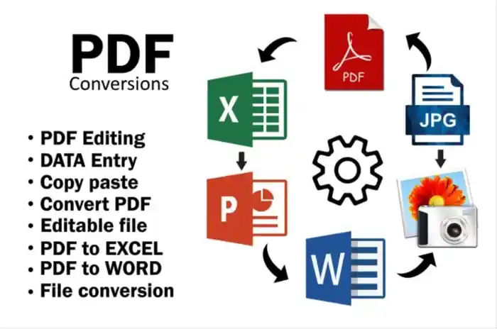 I can convert the pdf to word and pdf to excel, file conversion, pdf