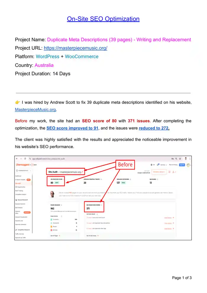 I can do on page SEO and technical optimization for your WordPress website