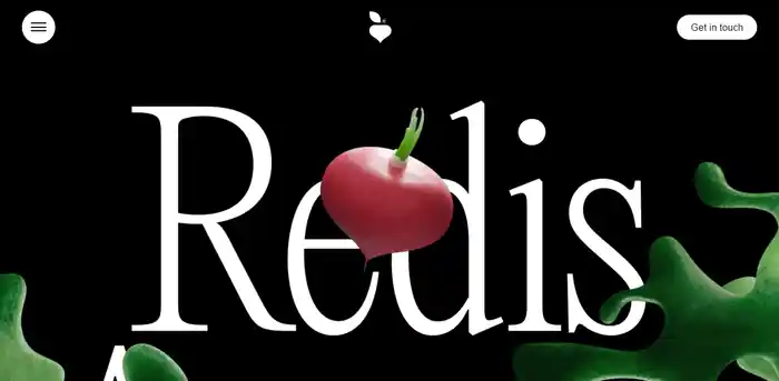I can build, rebuild design and redesign your wordpress website