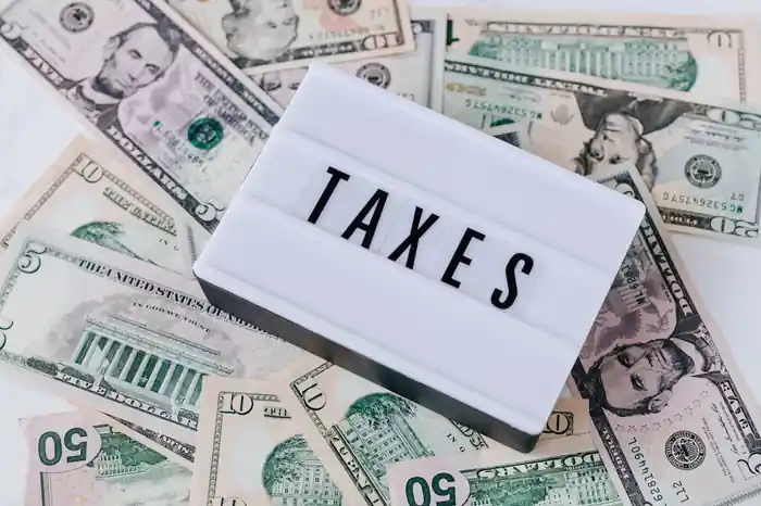 I can do Tax Preparation and Filing for Small Businesses 1099,1040 etc