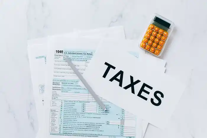 I can do Tax Preparation and Filing for Small Businesses 1099,1040 etc
