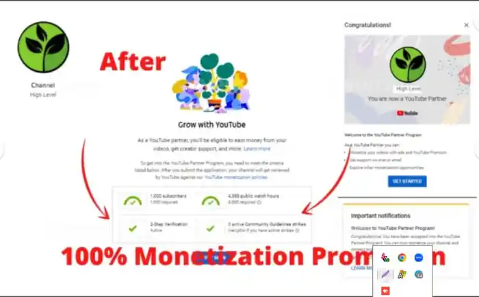 I can be your best youtube video SEO expert and channel manager