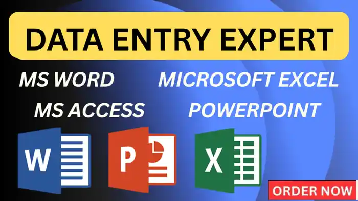 I can Data Entry in Microsoft Excel, Word, PowerPoint with utmost accuracy