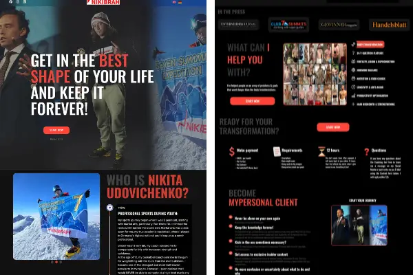 I can design, redesign, copy clone wordpress business website development