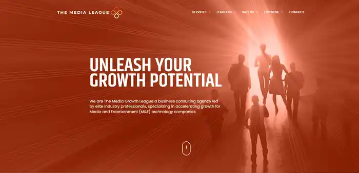I can design a professional website for your consulting business