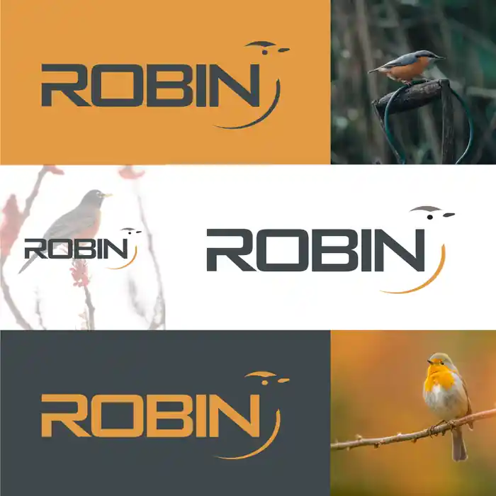 I can design modern and minimalist logo