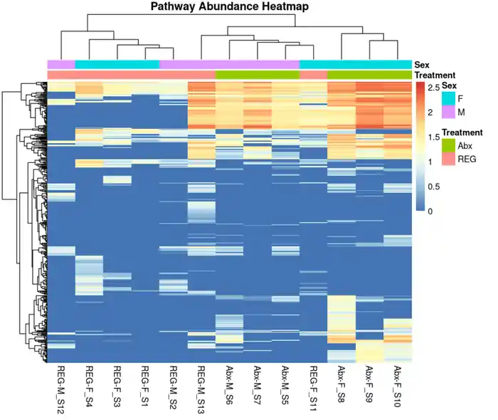 I can  analyze NGS data scRNA-seq RNA-Seq, 16S, WGS, ChIP-Seq & Metagenomics