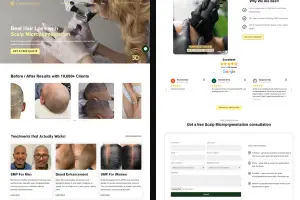 I can design, redesign, copy clone wordpress business website development