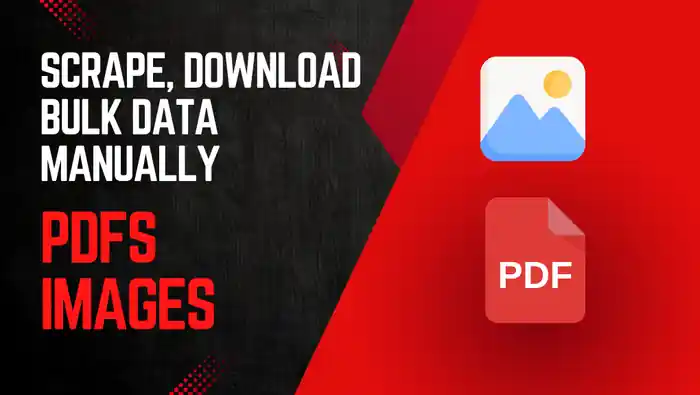 I can Manually Download Bulk Images or PDFs, for You | Fast & Organized