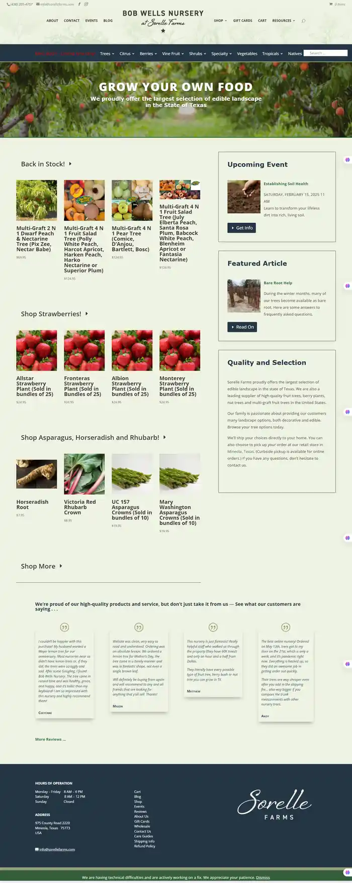 I can design ,redesign, duplicate, any wordpress websites using elementor