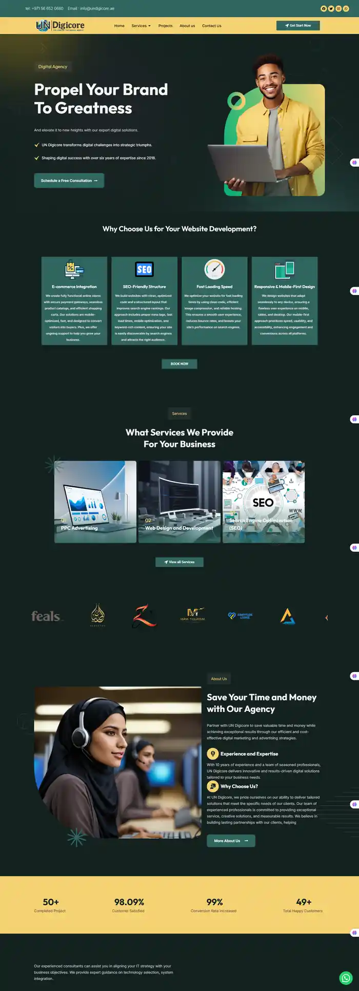I can design ,redesign, duplicate, any wordpress websites using elementor